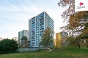 Pronájem bytu 2+1 56 m2 nábřeží Závodu míru, Pardubice, cena 14000 CZK / objekt / měsíc, nabízí Swiss Life Select Reality